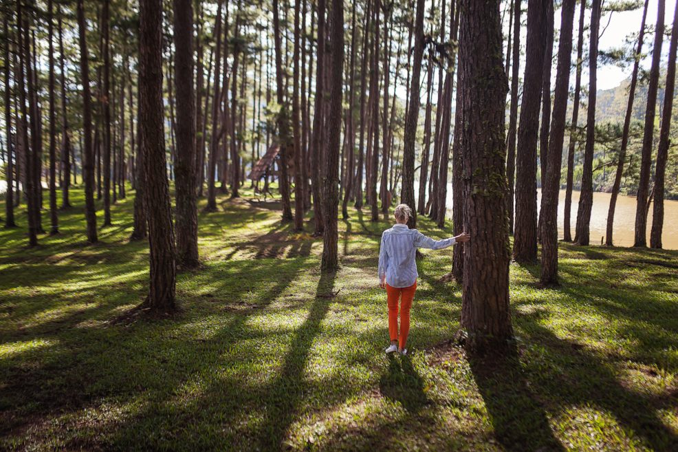 Woman standing in a Forrest of trees